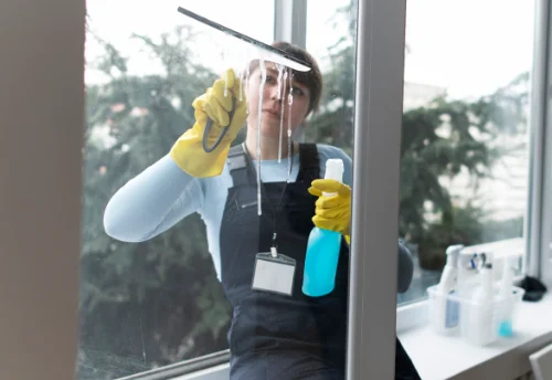 Nettoyage de vitres intérieures et extérieures à la Croix-en-Touraine